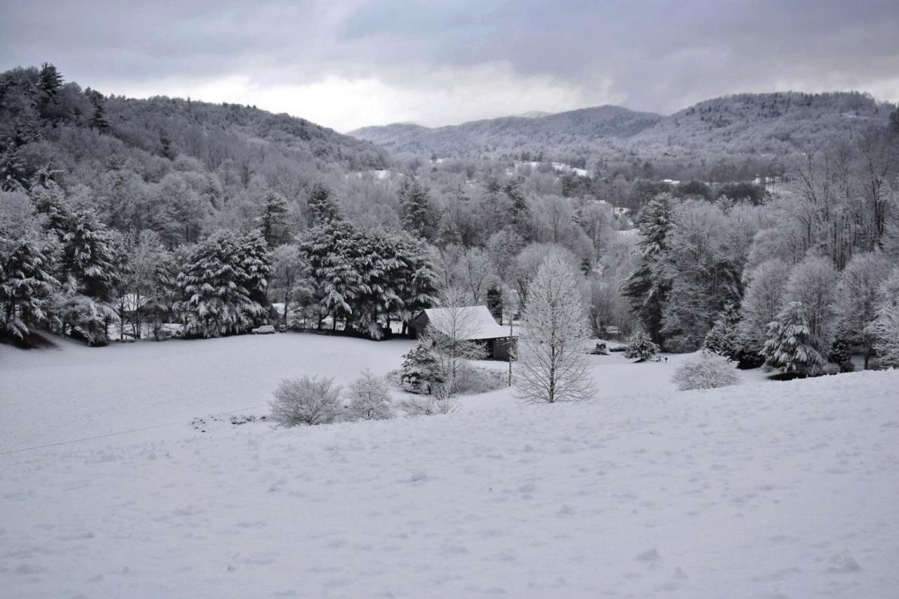 Iron Mountain Lodge - Beautiful Cabin With Forest & Mountain Views! Butler Exterior foto